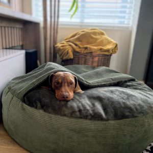 Pet Bed with Blanket Cover Corduroy Fine Line