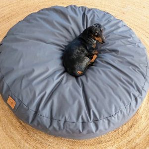 Pet Range Canvas