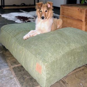 Square Pillow